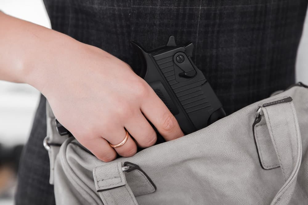 Pin on [ Concealed Carry for Women ]